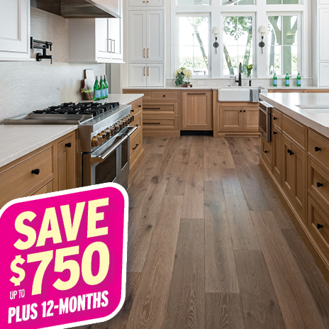 Instant Rebates up to $750